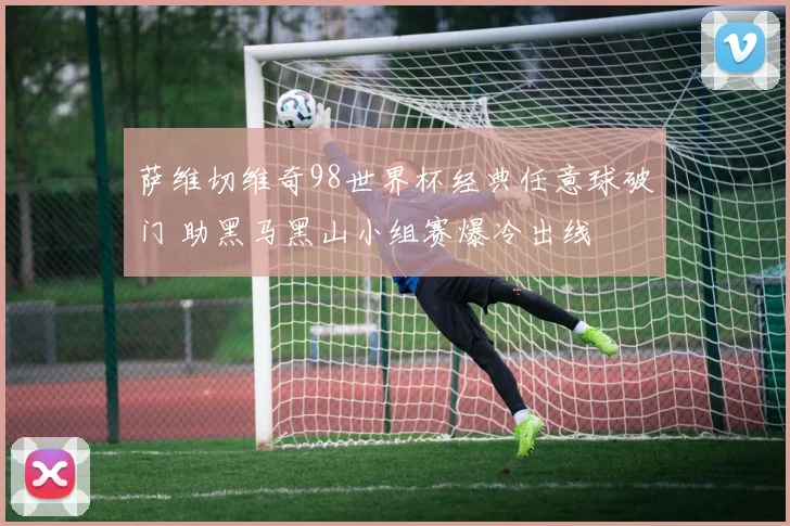 萨维切维奇98世界杯经典任意球破门 助黑马黑山小组赛爆冷出线