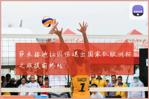 萨米赫迪拉因伤退出国家队欧洲杯之旅提前终结