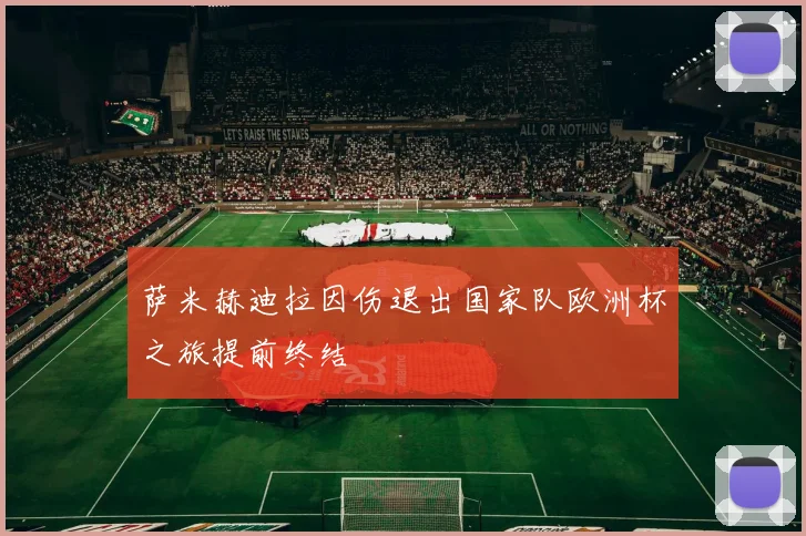 萨米赫迪拉因伤退出国家队欧洲杯之旅提前终结