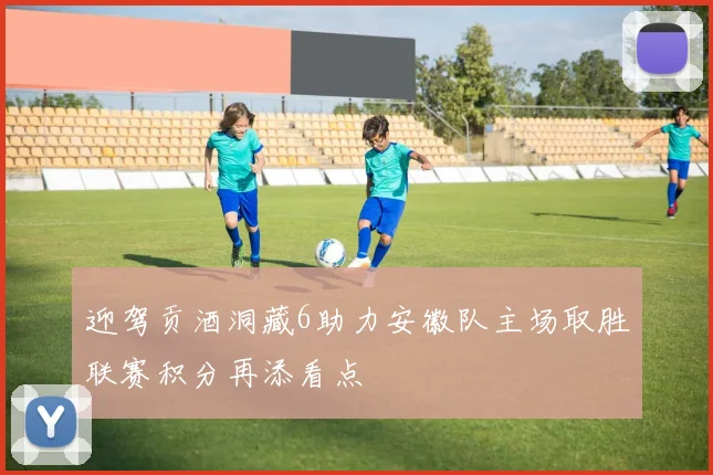 迎驾贡酒洞藏6助力安徽队主场取胜联赛积分再添看点