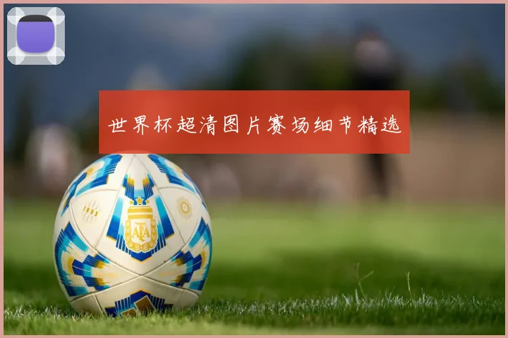 世界杯超清图片赛场细节精选