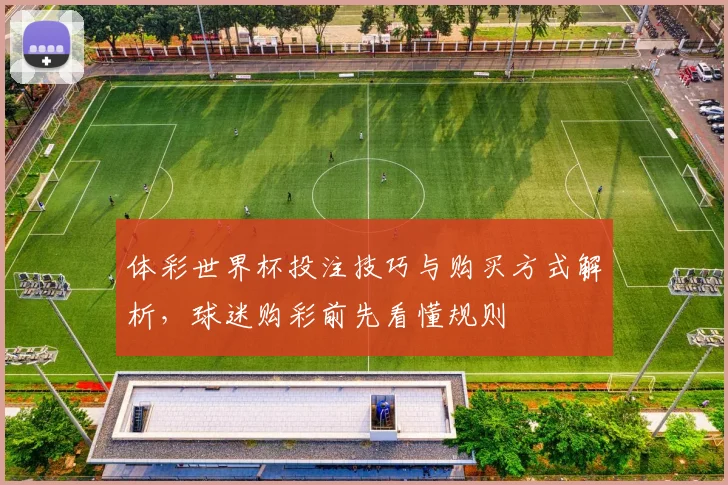 体彩世界杯投注技巧与购买方式解析,球迷购彩前先看懂规则